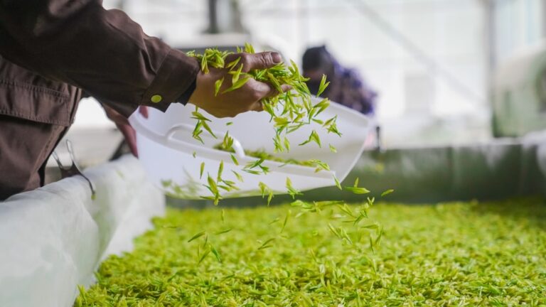 Media społecznościowe w marketingu supermarketów - Lepsze niż newsletter?