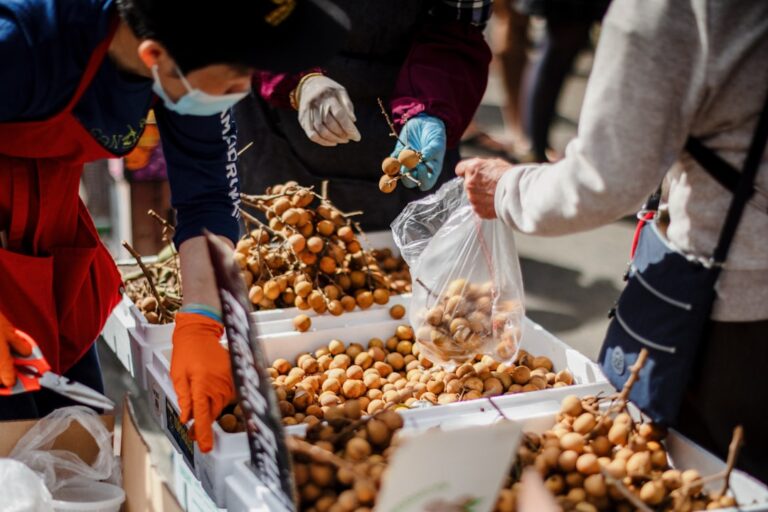 Merchandising w erze zakupów online - Czy wirtualne półki zmieniają zasady gry?