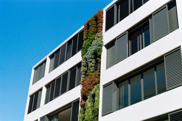 Jak nowe przepisy zmieniają cenniki w sklepach internetowych?